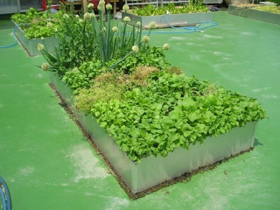 アルミ製 円形花壇枠 大型プランター 家庭菜園用 屋上緑化 A90